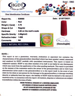 Load image into Gallery viewer, 5.21 Ratti italian Red Coral