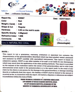 Load image into Gallery viewer, 5.10 Ratti italian Red Coral