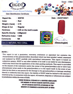 Load image into Gallery viewer, 5.21 Ratti italian Red Coral