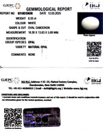 Load image into Gallery viewer, 8.33/CT Natural Opal with Govt. Lab Certificate