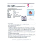 Load image into Gallery viewer, 4.81 Ratti Natural Govt. Lab Certified Ceylonese Gomed-(1100)