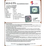 Load image into Gallery viewer, Pukhraj-(8991)