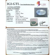 Pitambari Neelam-4551