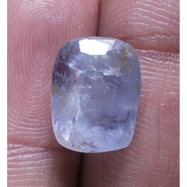 Pitambari Neelam -4551