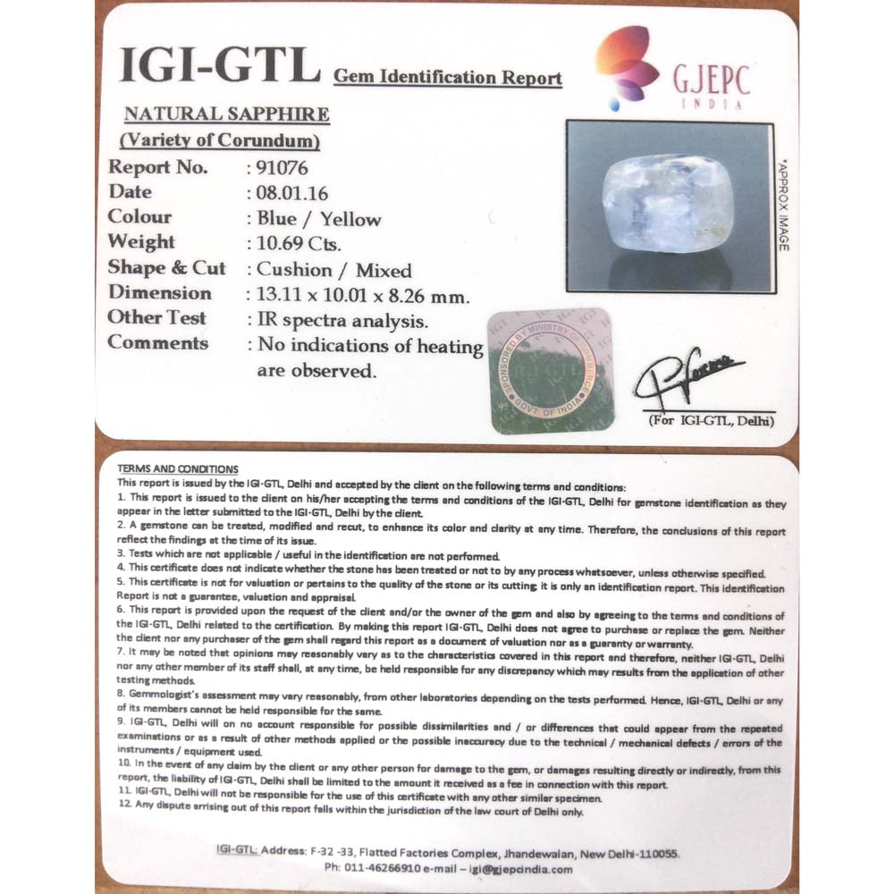 Pitambari Neelam -4551