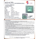 Load image into Gallery viewer, 5.03/CT Natural Panna Stone with Govt. Lab Certificate (8991)