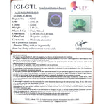 Load image into Gallery viewer, 3.49/CT Natural Panna Stone with Govt. Lab Certificate (6771)