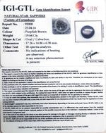 Load image into Gallery viewer, 21.80 Ratti Star Sapphire with Govt. Lab Certificate-(5661)