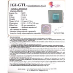 Load image into Gallery viewer, 8.60/CT Natural Panna Stone with Govt. Lab Certificate (8991)