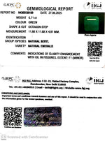 Load image into Gallery viewer, 6.71/CT Natural Panna Stone with Govt. Lab Certificate (8991)