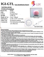 Load image into Gallery viewer, 14.93 Ratti Natural Indian Ruby With Govt. Lab Certificate-(1221)