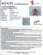 Load image into Gallery viewer, 5.44/CT Natural Govt. Lab Certified Ceylonese Gomed-(1221)