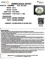 Load image into Gallery viewer, 8.38/CT Natural Yellow Sapphire With Govt Lab Certificate (16650)