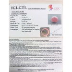 Load image into Gallery viewer, 6.99 Ratti Natural New Burma Ruby with Govt. Lab Certificate-(3441)