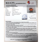 Load image into Gallery viewer, Ceylonese Gomed-(1100)