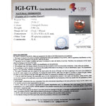 Load image into Gallery viewer, Ceylonese Gomed-(1100)