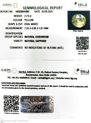2.74/CT Natural Yellow Sapphire With Govt Lab Certificate (23310)