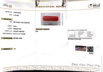 Load image into Gallery viewer, 9.56/CT Natural Red Coral With Govt. Lab Certificate