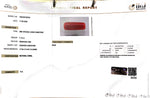 Load image into Gallery viewer, 7.13/CT Natural Red Coral With Govt. Lab Certificate