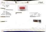 Load image into Gallery viewer, 6.92/CT Natural Red Coral With Govt. Lab Certificate