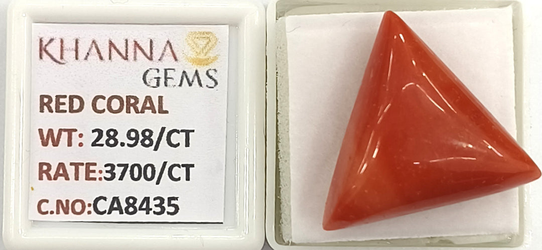 28.98/CT Natural Red Coral With Govt. Lab Certificate (3700)