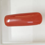 Load image into Gallery viewer, Natural Italian Moonga