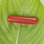 Load image into Gallery viewer, 2.50/CT Natural Italian Moonga