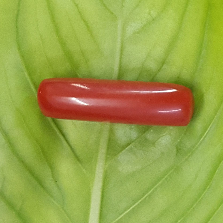 2.05/CT Natural Italian Moonga