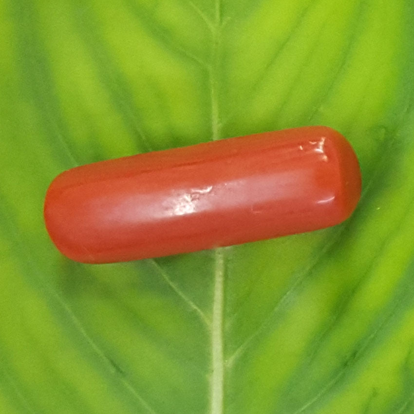 2.70/CT Natural Italian Moonga