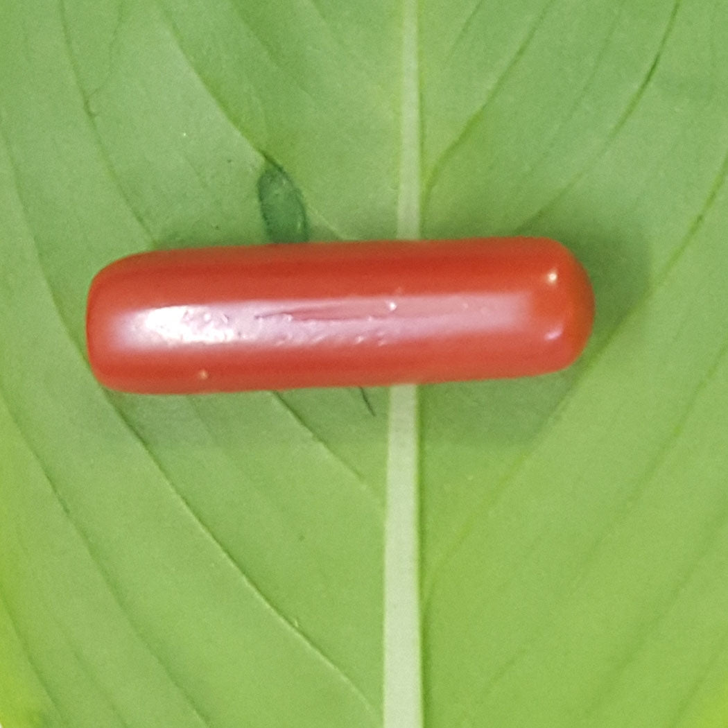 2.65/CT Natural Italian Moonga