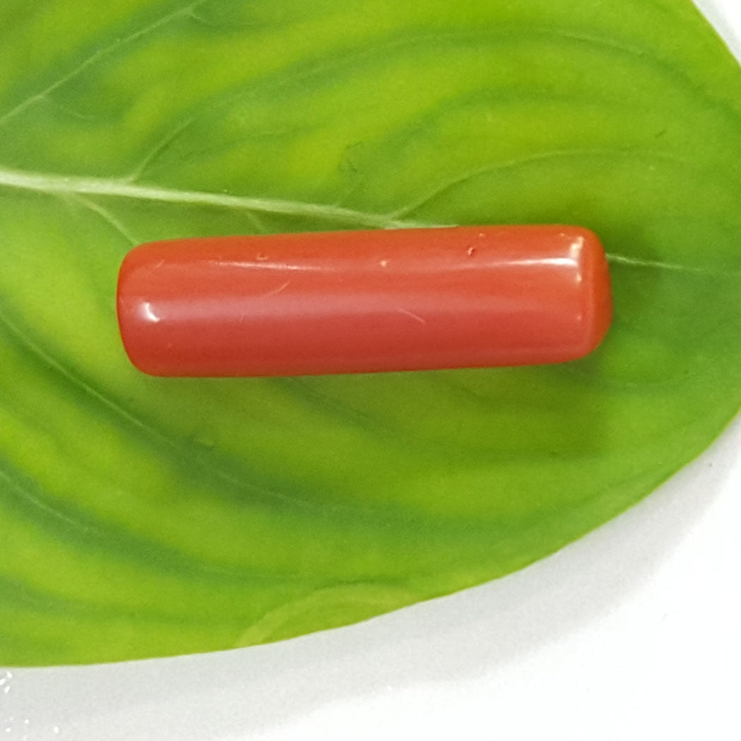 3.00/CT Natural Italian Moonga