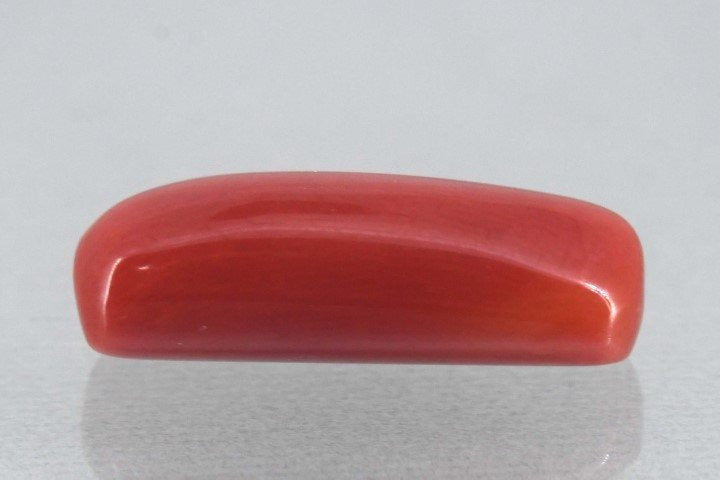 7.78/Carat Natural Cylindrical Red Coral-1800