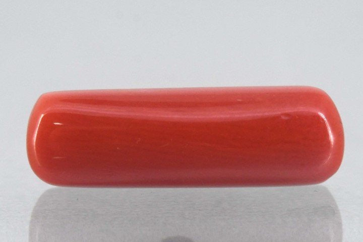 7.92/Carat Natural Cylindrical Red Coral-1800