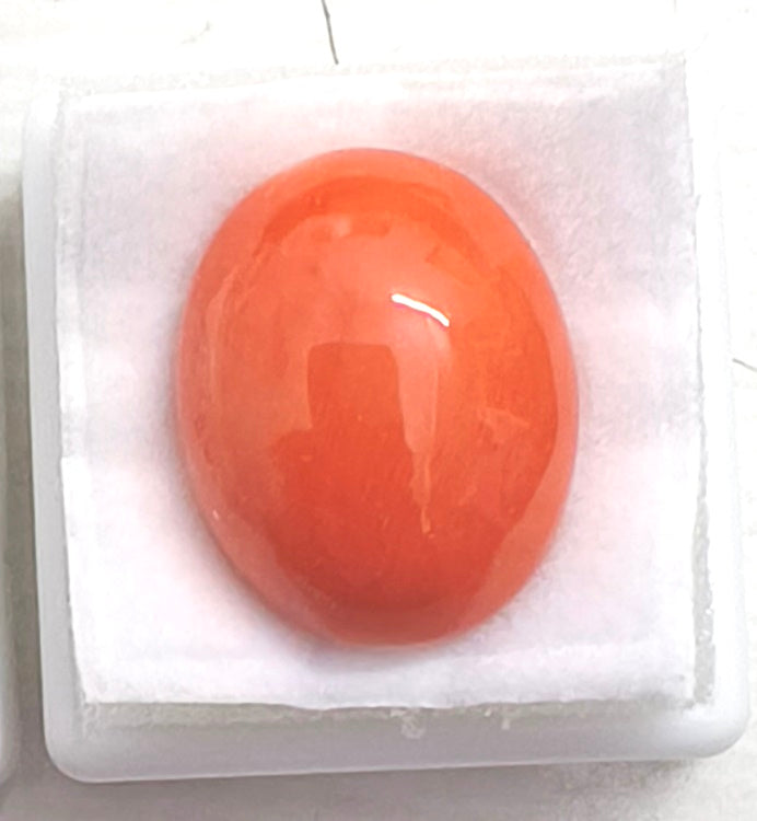 17.92/Carat Natural Japanese Red Coral-7100