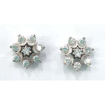 Load image into Gallery viewer, Silver Earring