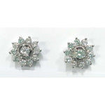 Load image into Gallery viewer, Silver Earring
