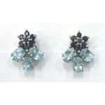 Load image into Gallery viewer, Silver Earring