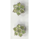 Load image into Gallery viewer, SILVER TOPS