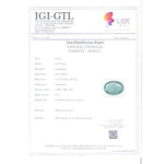 Load image into Gallery viewer, 9.92/CT Natural Panna Stone with Govt. Lab Certificate (12210)