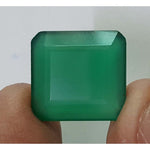 Load image into Gallery viewer, Onyx-(450)