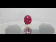 12.19 Ratti Natural Neo Burma Ruby with Govt. Lab Certificate-(2331)