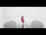 Load image into Gallery viewer, 6.65 Ratti Natural New Burma Ruby with Govt Lab Certificate-(3441)