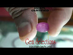 Load image into Gallery viewer, 5.88 Ratti Natural Neo Burma Ruby with Govt Lab Certificate-(5661)