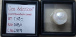 Load image into Gallery viewer, 11.65/CT Keshi Pearl