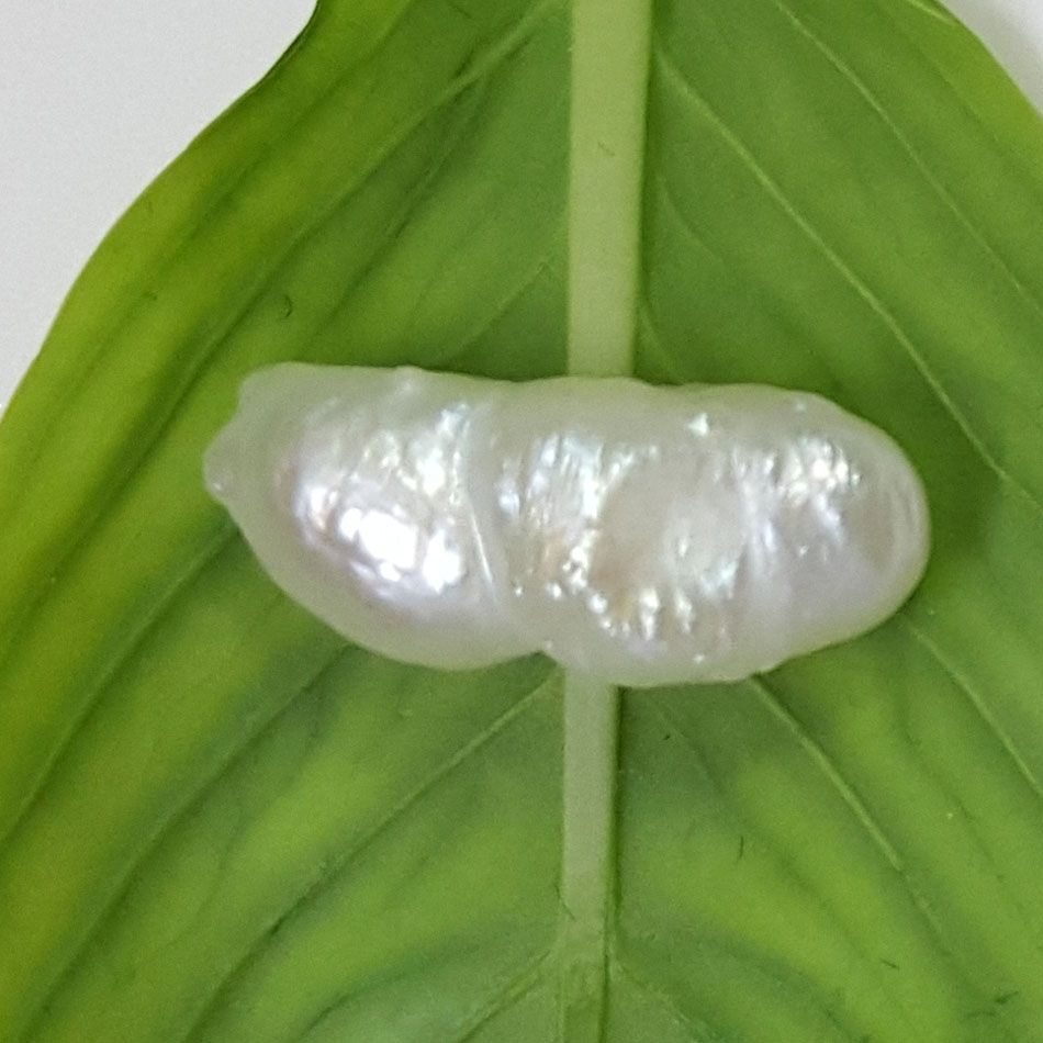 3.65/CT Keshi Pearl Govt. Lab Report
