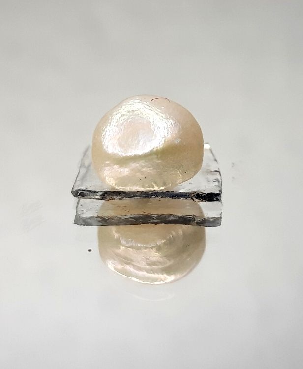 4.20/CT Keshi Pearl
