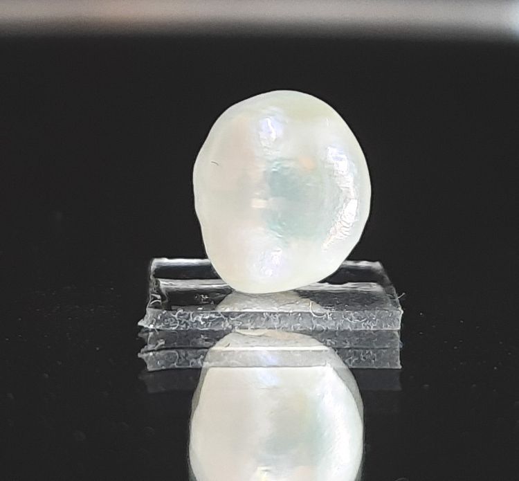 3.25/CT Keshi Pearl