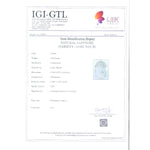 Load image into Gallery viewer, Pitambari Pukhraj-4551