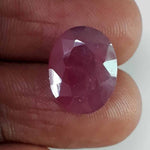 Load image into Gallery viewer, 9.02 Ratti Natural New Burma Ruby with Govt Lab Certificate-(2331)
