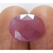 12.41 Ratti Natural Neo Burma Ruby with Govt. Lab Certificate-(3441)